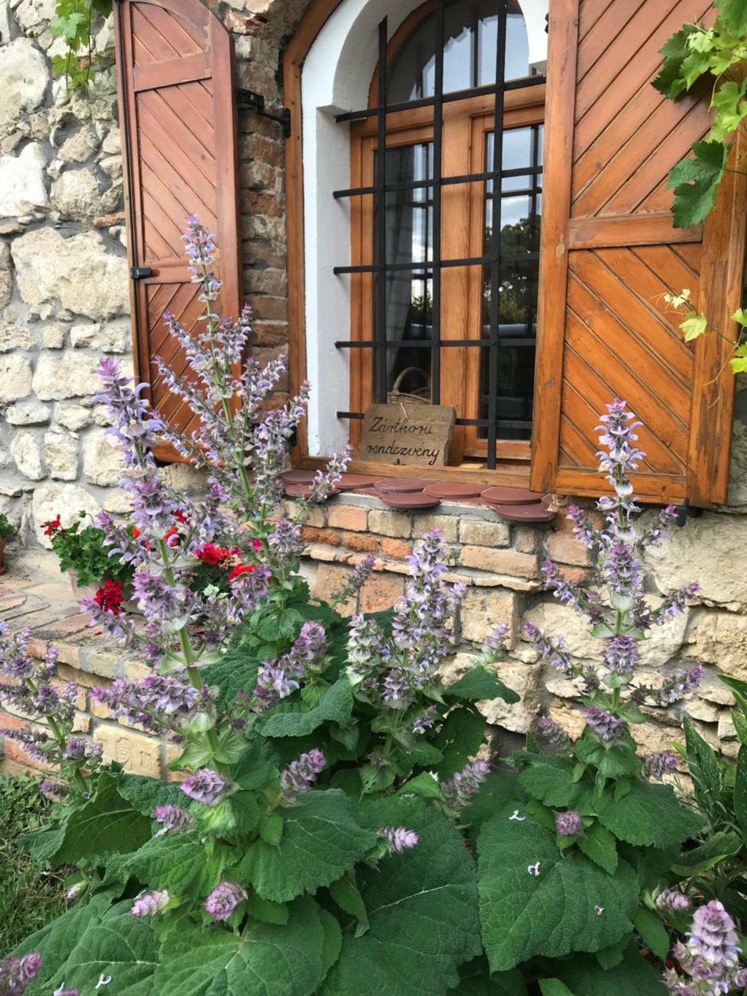 Cifrapince Es Vendeghaz Villa Tordas Eksteriør bilde